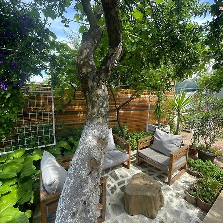 Casa Mediterana ドウア・マ エクステリア 写真