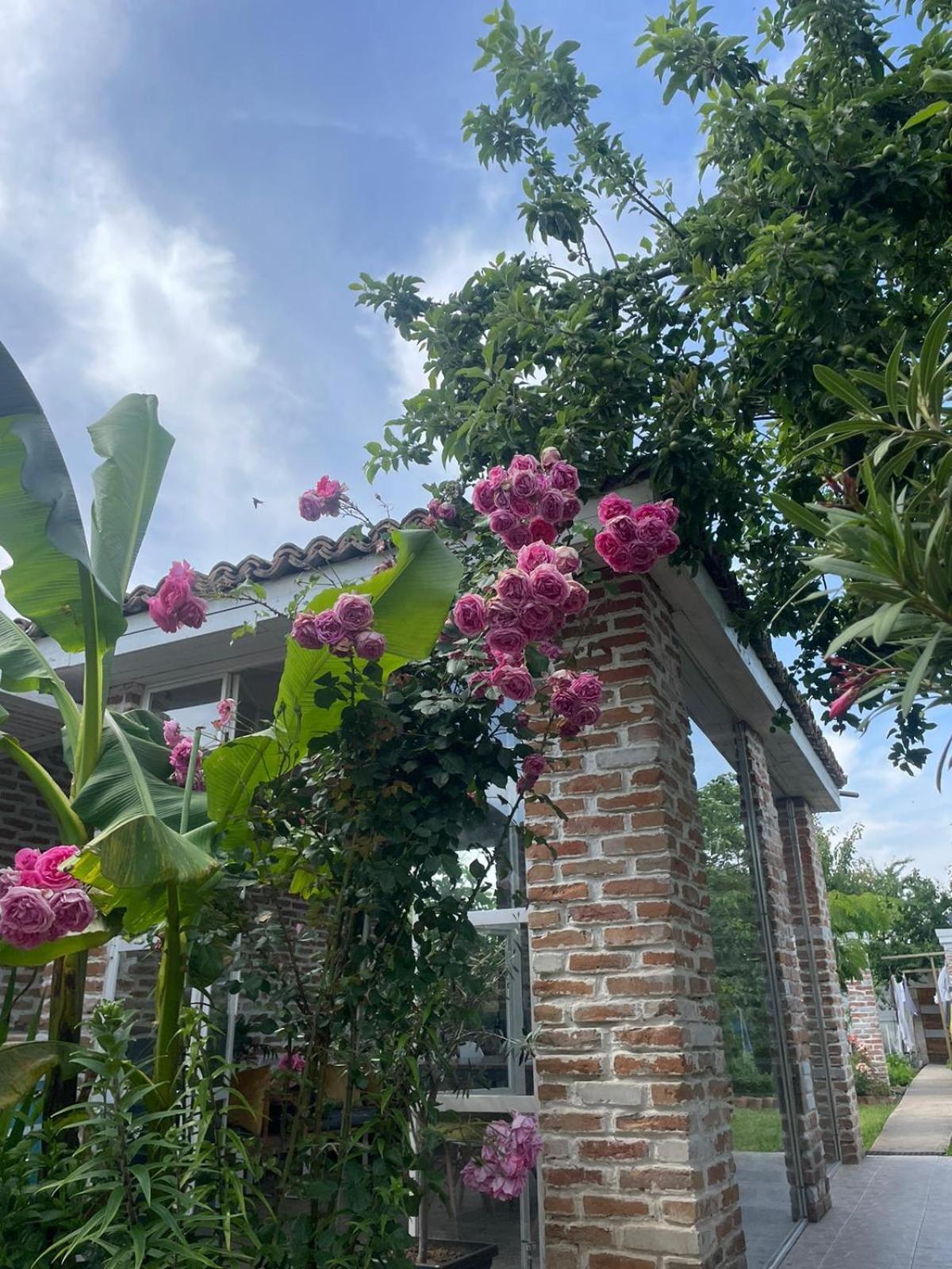 Casa Mediterana ドウア・マ エクステリア 写真